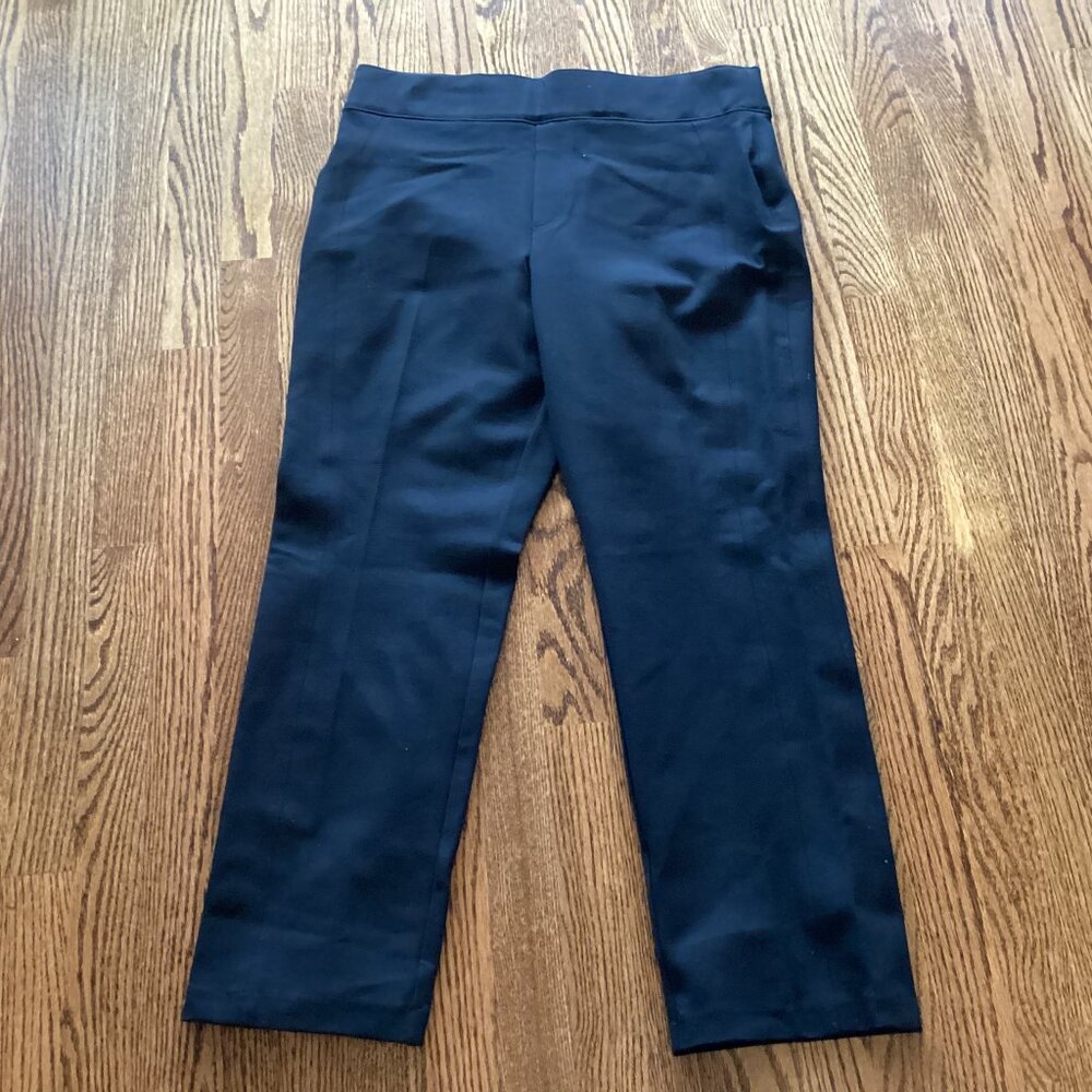 1X Spanx Cropped Wide Legged Ponte Pants Black